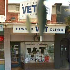 Universal academy of animal arts. Elwood Veterinary Clinic 116 Ormond Road Elwood Reviews And Appointments Topvet