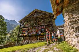 Image result for Vausagesia