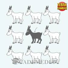 We did not find results for: 44 Jawaban Tebak Nama Hewan Level 1 Gif Pedia Edu