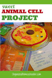 Check spelling or type a new query. How To Make An Animal Cell Cake In 10 Steps The Organized Homeschooler