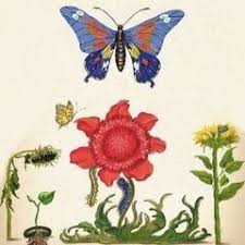 The voice avec amel bent, vianney, florent pagny & marc lavoine chaque samedi. Mika Coach The Voice France Anniversary Season 11 2021 Mika News And Press Mika Fan Club