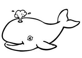 Set off fireworks to wish amer. Free Printable Whale Coloring Pages For Kids Whale Coloring Pages Animal Coloring Pages Easy Animal Drawings