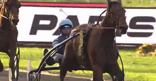 Excellent Drive Par Alexandre Abrivard Vainqueur Du Prix Tenor De Baune 2019 A Vincennes Courses Hippiques Hippique Vincennes