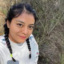 El epazote es una planta medicinal de origen prehispánico, muy utilizada  para aliviar distintos malestares tanto estomacales, como cólicos y  generados por parásitos. Conoce todas sus propiedades. 👉🏻  https://www.mexicodesconocido.com.mx/epazote.html