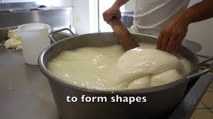 This recipe for baked mozzarella sticks is a real treat! Making Mozzarella And Burrata By Hand In Italy Youtube