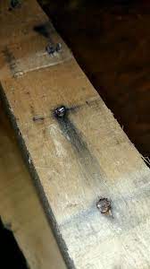 Helping sellers understand their audience. How To Remove Nails With Heads Cut Off Home Improvement Stack Exchange