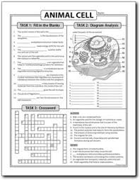 Animal and plant cells answer key worksheets kiddy math. Animal Cell Homework Review Worksheet Test Prep Print Distance Learning