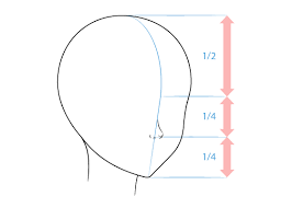The main reason for an evaluation process is straightforward. How To Draw Anime And Manga Noses Animeoutline