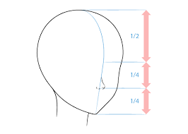 Please note that this line is much lower than the conditional middle of the head. How To Draw Anime Manga Tutorials Animeoutline