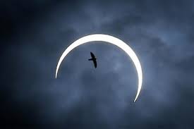 Kali terakhir fenomena gerhana matahari anulus atau dikenali sebagai gerhana cincin berlaku di malaysia adalah pada ogos. Gerhana Matahari Buat Sikap Haiwan Di Zoo Berubah