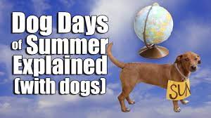 Jul 02, 2020 · the term evolved to mean the 20 days before and after july 23rd, or july 3 to august 11, to coincide with sirius aligning with the sun. Dog Days Of Summer Explained With Dogs Youtube