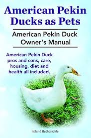 Most are offered as sexed juvenile pairs, however please read the description carefully to be sure that is offered with your choice of breed. Pekin Ducks As Pets American Pekin Duck Owner S Manual American Pekin Duck Care Pros And Cons Housing Health And Diet All Included Ebook Ruthersdale Roland Amazon In Kindle Store