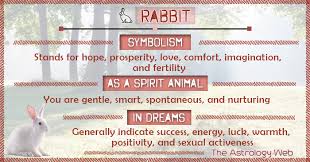However, there is a lot to consider before you decide to adopt a pet rabbit. Rabbit Meaning And Symbolism The Astrology Web