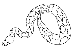 Snake Python Coloring Pages For Kids F4n Printable Reptiles Coloring Pages For Kids Coloring Pages Boa Constrictor Coloring Pages For Kids