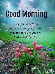 You can check out the many good morning quotes gifs shared by people nearly every day. 680 Good Morning Quotes Ideas In 2021 Good Morning Quotes Morning Quotes Good Morning