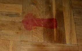 Anyone caught between the warring factions are subject to the carnage that awaits. Mum Fears She Ll Get Kicked Out Of Her Rented Flat After Accidentally Leaving Penis Shaped Blood Stain On Wooden Floor
