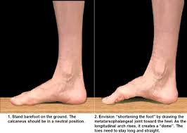 However, these muscles do influence our ability to produce forward propulsion from one stride into the next, highlighting their role in bipedal locomotion. Current Sports Medicine Reports On Twitter The Foot Doming Exercise Is A Simple But Effective Foundational Exercise For Running Rehabilitation And Injury Prevention Programs To Improve Activation Of The Foot Muscles Https T Co Zzl9vktkwd