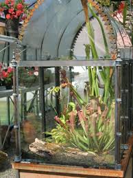 Another View Of My Carnivorous Wardian Case Fleischfressende Pflanze Sukkulententerrarium Gartenterrarium