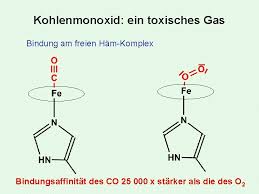 Uracil (u, ura) ist eine der vier wichtigsten nukleinbasen in der rna, zusammen mit adenin, cytosin und guanin.in der dna steht an seiner stelle thymin.es ist eine heterocyclische organische verbindung mit einem pyrimidingrundgerüst und zwei substituenten (sauerstoffatome an den positionen 2 und 4). Metalle In Lebewesen Ein Einblick In Die Bioanorganische