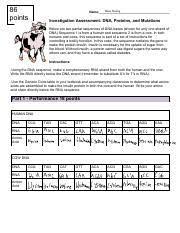 Diabetes is a disease characterized by the inability to break down sugars. Investigation Assessment Dna Proteins And Mutations Pdf 86 Points Hans Huang Name Investigation Assessment Dna Proteins And Mutations Below Are Course Hero