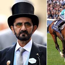 Sheikh Mohammed pays record £2.9m for 'lookalike' to wonder horse Frankel  in rare appearance
