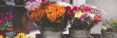 Check spelling or type a new query. We Care For Cold Flower Shops Commercial Refrigeration Solutions