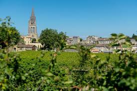 Find over 100+ of the best free saint emilion images. Saint Emilion Weinbergtouren Und Weinproben Aus Bordeaux 2021 Tiefpreisgarantie