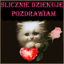 Thanks so much for your enquiry which we really appreciate. Obrazki I Gify Na Kazda Okazje I Okolicznosc Anonimowane Gify I Obrazki Dziekuje Cats Animation Cutie