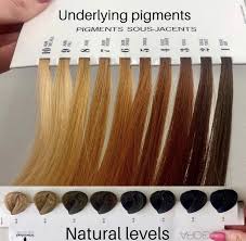 Using an ash blonde dye on the hair which has more orange than yellow one will help to balance the orange while not make your. Can I Use Light Ash Brown To Tone Brassy Copper Hair Quora
