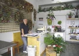 We did not find results for: About Us Flower Outlet Gifts Oakland Ca