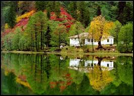 Artvinborckakaragol Selaleler Manzara Doga