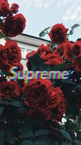 We've gathered more than 5 million images uploaded by our users and sorted them by the most popular ones. Roses Supreme Tumblr Wallpaper Supreme Iphone Wallpaper Supreme Wallpaper Supreme Wallpaper Hd