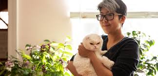 Maybe you would like to learn more about one of these? Top 10 Toxic Plants For Pets What To Look Out For Aspca