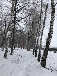 Este servicio gratuito de google traduce instantáneamente palabras, frases y páginas web del español a más de 100 idiomas y viceversa. Maluri De Prut PÄƒdurea De Argint Din Poemul Eminescian Un Loc Real Intr O IarnÄƒ De Poveste