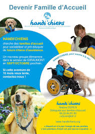 Dans le monde du dog sitting, les familles d'accueil sont très pour répondre à cette problématique, les familles d'accueil pour chien interviennent comme étant des nounous pour chien. Recherche Famille D Accueil Pour L Est De La France La Vie Autour D Handi Chiens