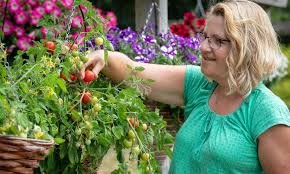 Eventually, the first true leaves will form. Easy Veg To Grow In Pots Which News