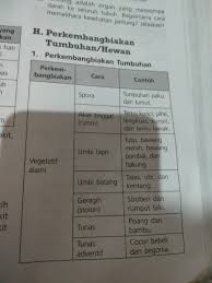 Perkembangbiakan pada tumbuhan dibedakan menjadi 2 (dua) yakni perkembangbiakan tumbuhan secara generatif dan vegetatif. 1 Sebutkan Cara Perkembangbiakan Tumbuhan Yang Kamu Ketahui Dan Berikan Contohnya 2 Bagaimana Brainly Co Id