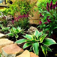 Discover our works and latest landscaping design offers now. Certified Vip Landscaping 24 Photos 12 Reviews Landscaping Elmwood Park Il Phone Number