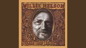 My Love For The Rose