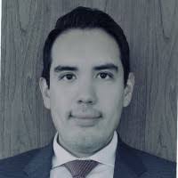 4900+ perfiles de «Vite»