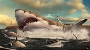 Side by side in the photo below is a very large megalodon tooth at just over 6 inches long and a replica of a near record size great white tooth at 2 1/2 inches long. Even Earth S Largest Ever Sharks Needed Nurseries For Their Babies Research Highlights