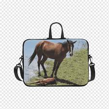 Tas merupakan benda yang sudah tidak asing bagi kita, tas sudah menjadi bagian penting dalam kehidupan tas bisa digunakan untuk peluang bisnis dan investasi. Tas Laptop Tote Bag Tas Kerja Kuda Liar Kuda Ransel Kulit Png Pngwing