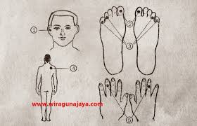 Pin Di Tips Sehat Diet Pijat Refleksi Dan Obat Herbal