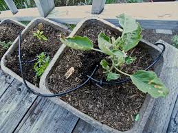 Maybe you would like to learn more about one of these? Micro Arrosage De Precision