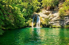 Au printemps, les fleurs roses du bergénia accompagnent les fleurs rose clair de la persicaire et jaune vif. Piscines Naturelles Et Cascades Dans Les Pyrenees Casa Ilicia Chambres D Hotes A Eus