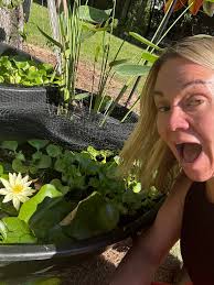 Finally.... First water Lilly 💖💖💖💖💖