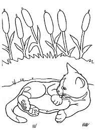 Coloriage Chat Jardin Sur Hugolescargot Com