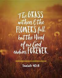The Living Isaiah 40 8 Niv The Grass Withers And The