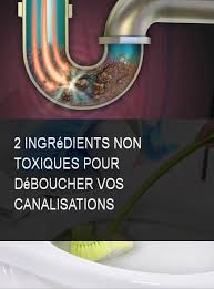 2 Ingredients Non Toxiques Pour Deboucher Vos Canalisations Ingredient Ingredients Canalisations Canalisation Toxique Toxiques Nontoxiques Diy Just Do It