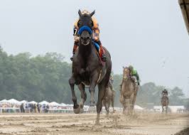Splendora Scratched From Breeders' Cup Distaff